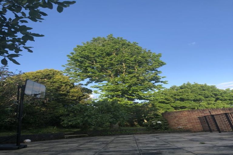 Photo of property in 97 Polo Prince Drive, Totara Park, Manurewa, 2576