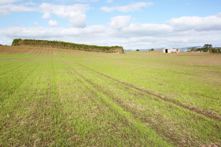 Photo of property in 142 Hutchings Road, Waiuku, 2682