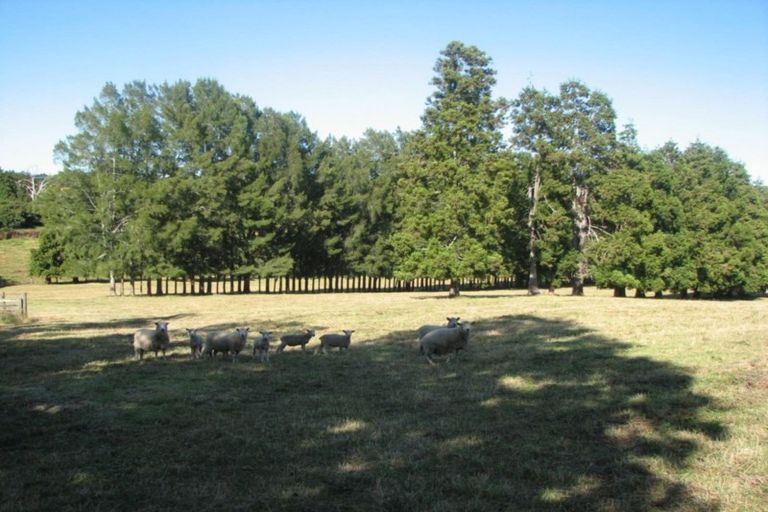 Photo of property in 48d Youngson Road, Whakamarama, 3180