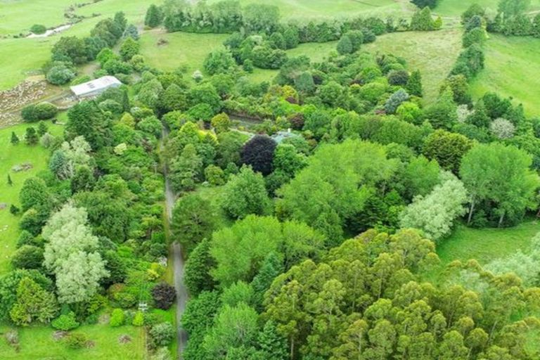 Photo of property in 488 Tapuwae Road, Maniaiti / Benneydale, Te Kuiti, 3987