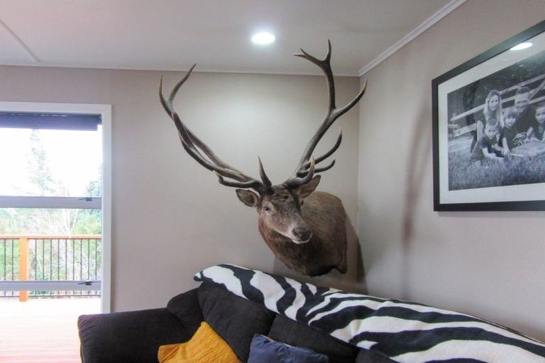 Photo of property in 26 Argyll Street, Mangapapa, Gisborne, 4010