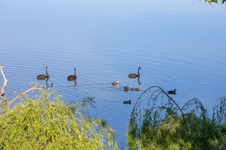 Photo of property in 34 Manu Drive, Kaiwaka, 0573