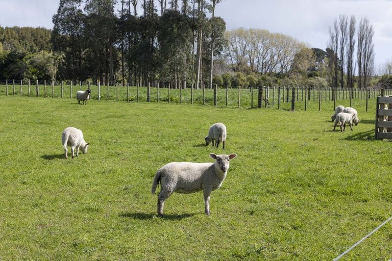 Photo of property in 225 Waitohu Valley Road, Otaki, 5583