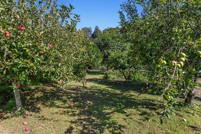 Photo of property in 261 Manawahe Road, Matata, Whakatane, 3194