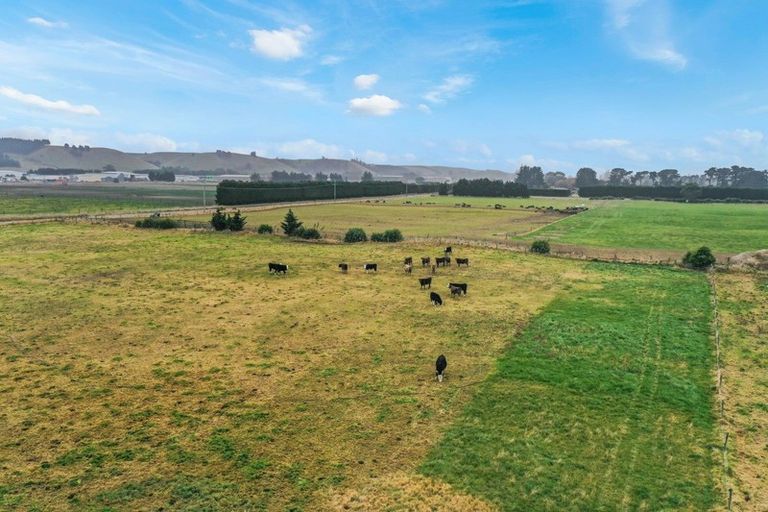 Photo of property in 24 Shortland Road, Oamaru North, Oamaru, 9494