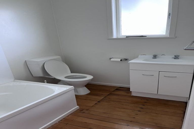 Photo of property in 52 Buscomb Avenue, Henderson, Auckland, 0610