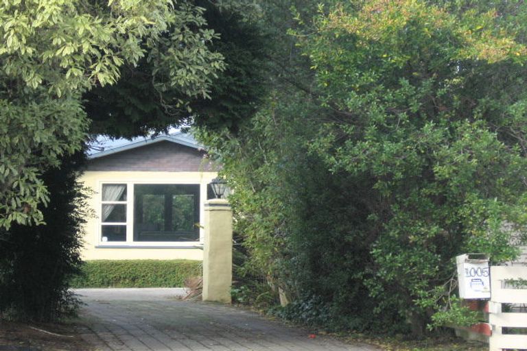 Photo of property in 1005 Totara Street, Mahora, Hastings, 4120