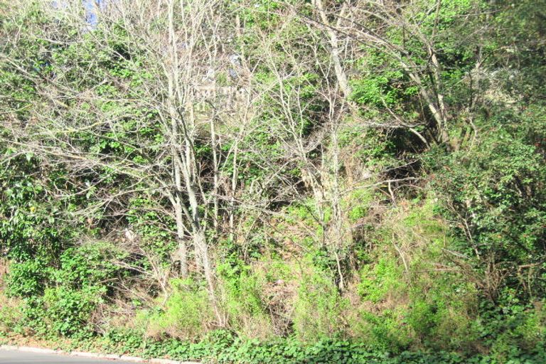 Photo of property in 20 Burns Road, Hospital Hill, Napier, 4110