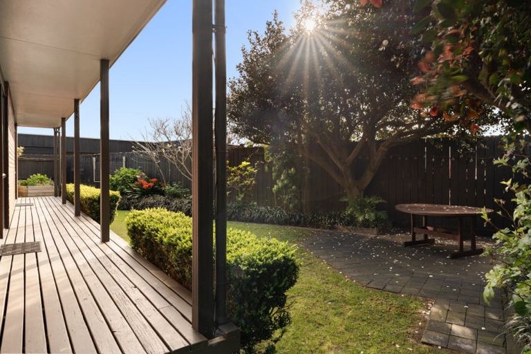 Photo of property in 306b Maungatapu Road, Maungatapu, Tauranga, 3112