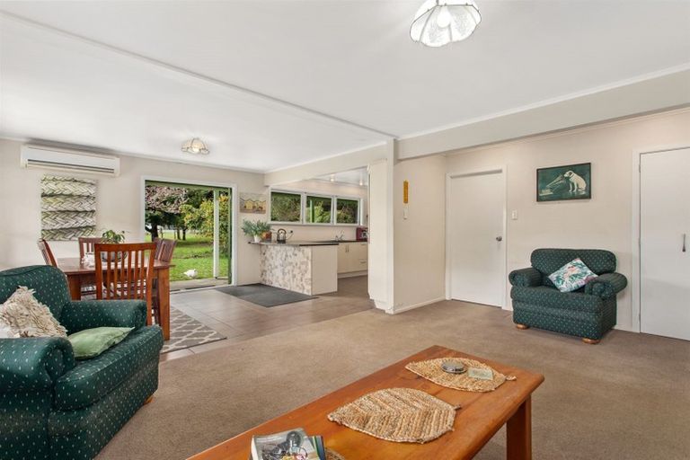 Photo of property in 674 White Pine Bush Road, White Pine Bush, Whakatane, 3191