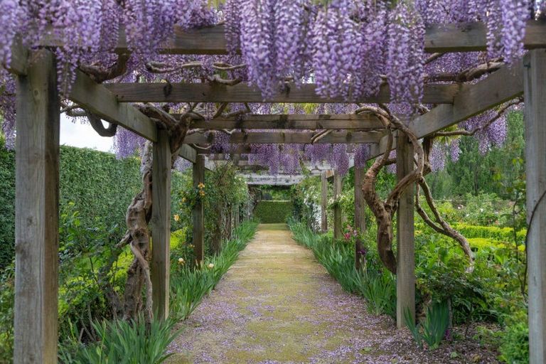 Photo of property in 914 Napier Road, Whakarongo, Palmerston North, 4470