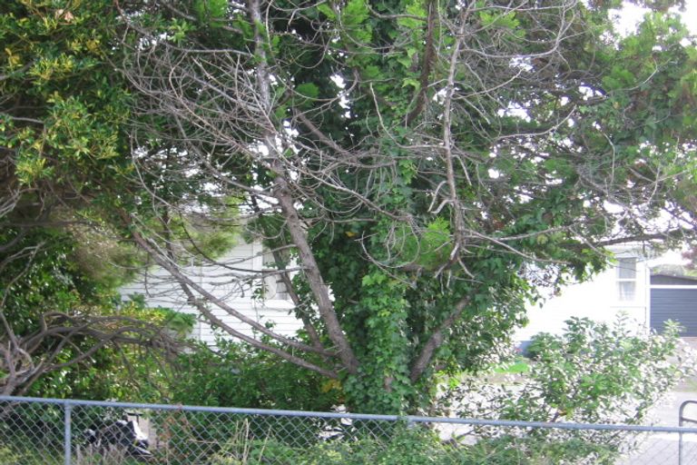 Photo of property in 46 Lincoln Road, Henderson, Auckland, 0610