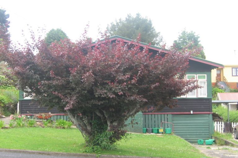 Photo of property in 12 Ailsa Street, Te Kuiti, 3910