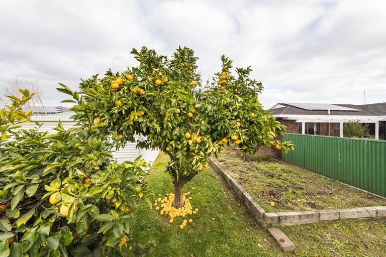 Photo of property in 26 Kennedy Avenue, Feilding, 4702