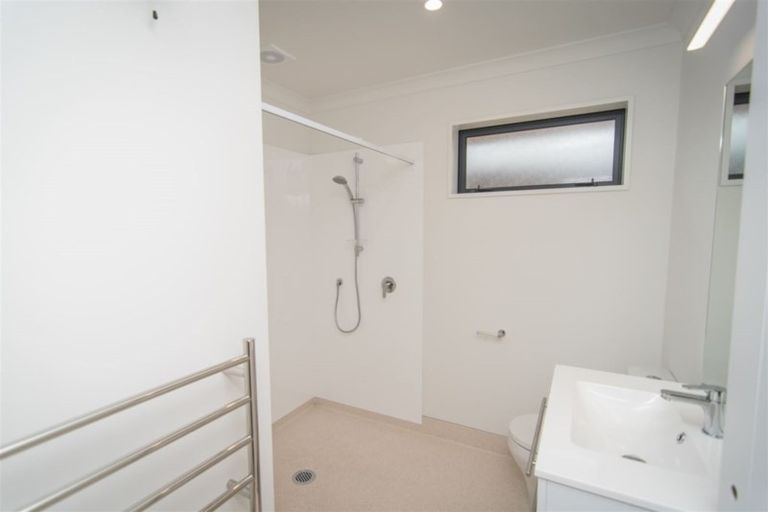 Photo of property in 24a Millpond Lane, Lincoln, 7608