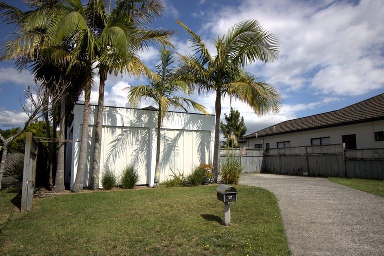 Photo of property in 81 Solomon Street, Brookfield, Tauranga, 3110