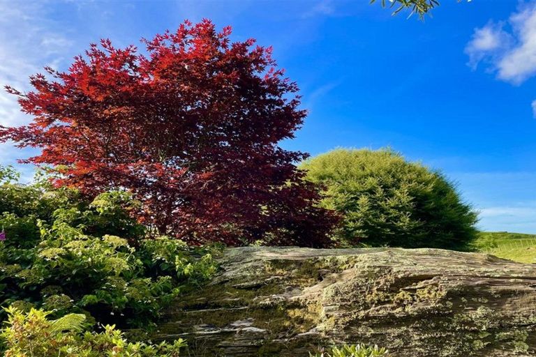 Photo of property in 488 Tapuwae Road, Maniaiti / Benneydale, Te Kuiti, 3987