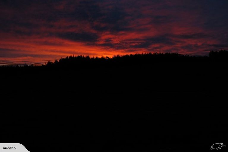 Photo of property in 95c Mcleod Road, Waipapa, 0295