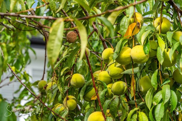 Photo of property in 16 Whaka Street, Maungaturoto, 0520