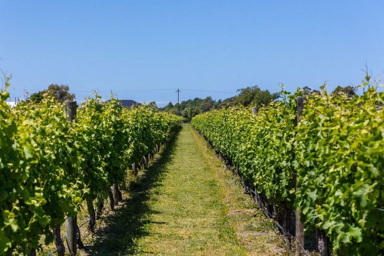 Photo of property in 5 Brook Street, Renwick, 7204