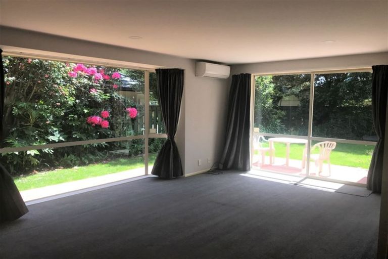 Photo of property in 301 Ashgrove Terrace, Somerfield, Christchurch, 8024