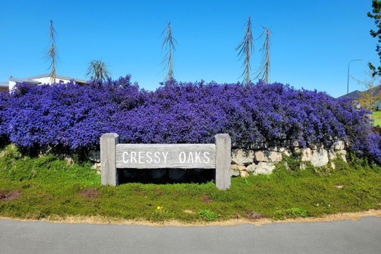 Photo of property in 29 Cressy Place, Darfield, 7510