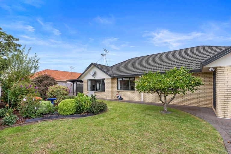 Photo of property in 53 Bethlehem Heights, Bethlehem, Tauranga, 3110