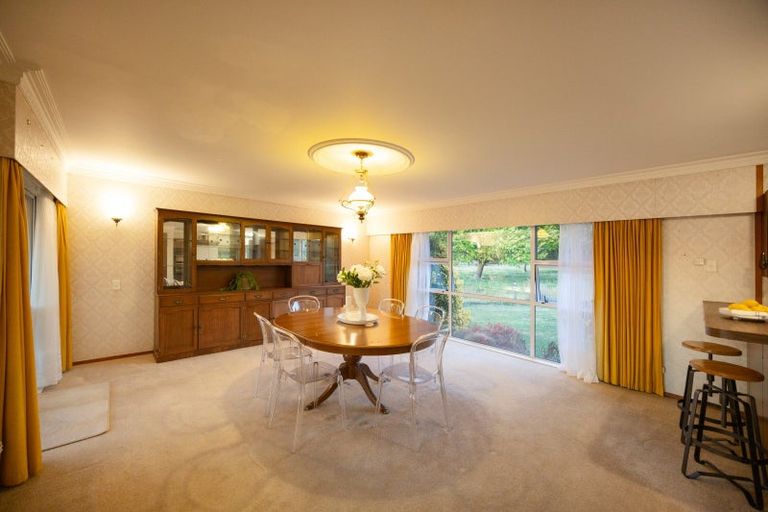 Photo of property in 221 Setters Line, Bunnythorpe, Palmerston North, 4478