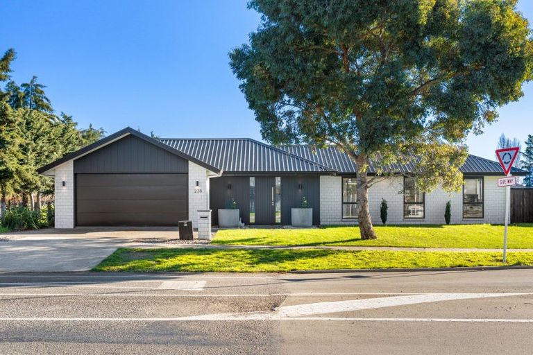 Photo of property in 238 Taylor Pass Road, Witherlea, Blenheim, 7201