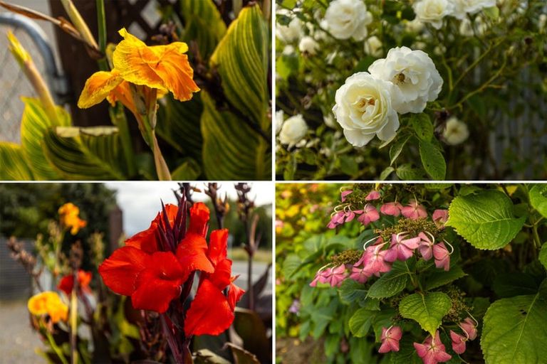 Photo of property in 2462 State Highway 1, Grovetown, Blenheim, 7202