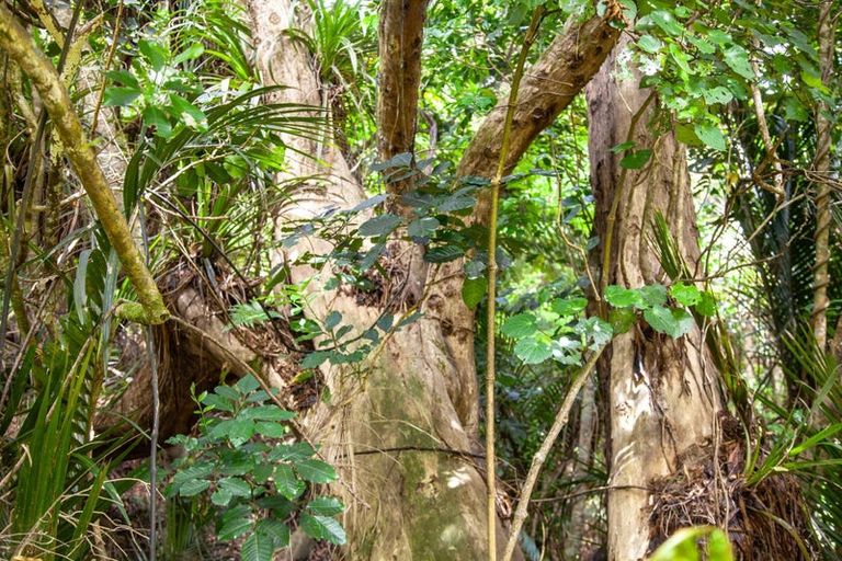 Photo of property in 1288 Manaia Road, Manaia, Coromandel, 3581