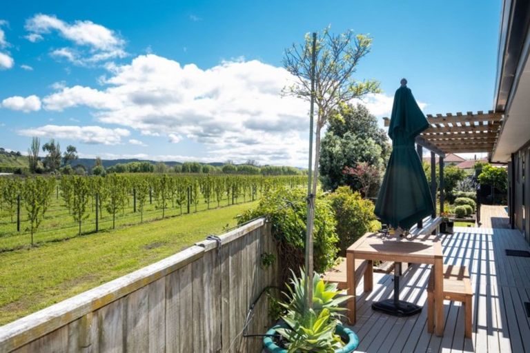 Photo of property in 3 Bruce Place, Bay View, Napier, 4104