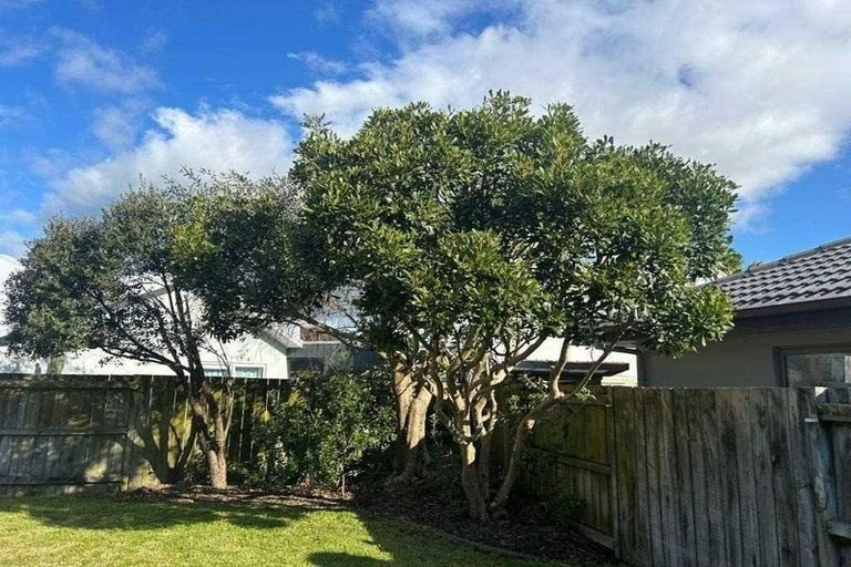 Photo of property in 25 Palm Springs Boulevard, Papamoa Beach, Papamoa, 3118