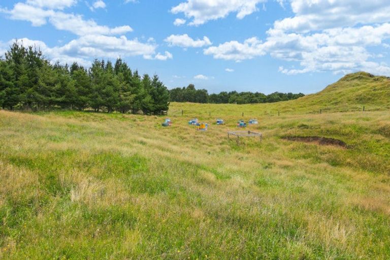 Photo of property in 49b Olds Road, Ngongotaha Valley, Rotorua, 3072