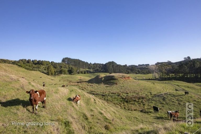 Photo of property in 208 Valley Road, Mangapapa, Gisborne, 4010