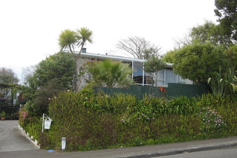 Photo of property in 18 Argyle Avenue, Levin, 5510