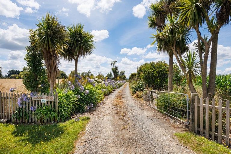 Photo of property in 176 Colemans Road, Marton, 4787