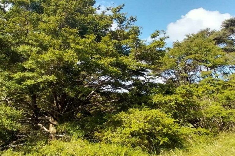 Photo of property in 1762 Kohumaru Road, Peria, Kaitaia, 0482