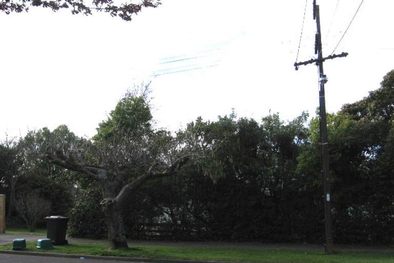 Photo of property in 40 Jordan Terrace, Lansdowne, Masterton, 5810