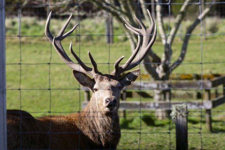 Photo of property in 455 Tukairangi Road, Nukuhau, Taupo, 3385