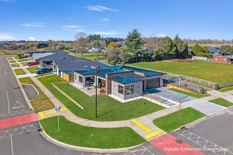Photo of property in 26 Whakahaumako Road, Leamington, 3495