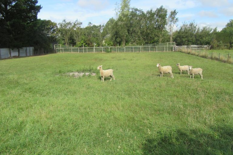 Photo of property in 8 King Street, Waimate, 7924