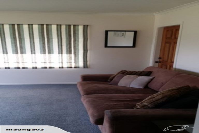 Photo of property in 1212 Kaipaki Road, Cambridge, 3495