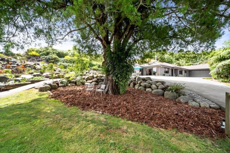 Photo of property in 370 Tukapa Street, Hurdon, New Plymouth, 4310