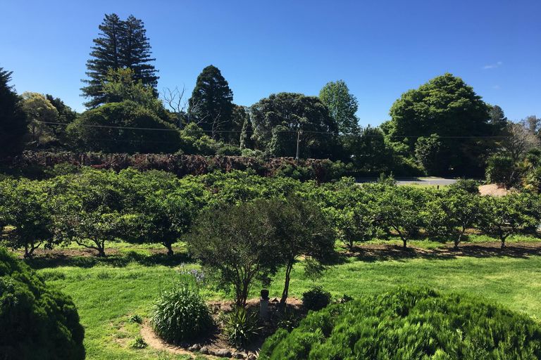 Photo of property in 52 Kerikeri Inlet Road, Kerikeri, 0230