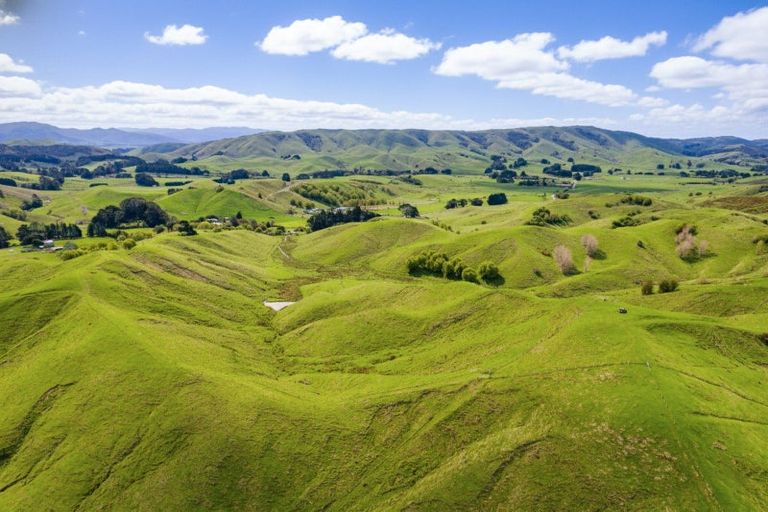 Photo of property in 390 North Road, North East Valley, Dunedin, 9010