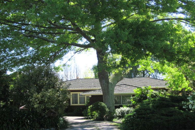 Photo of property in 4 Mary Street, Mangapapa, Gisborne, 4010