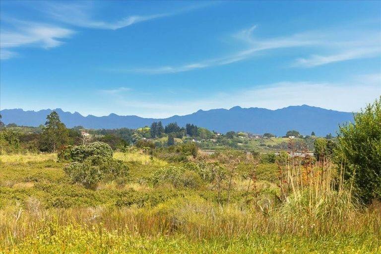 Photo of property in 11b Westwood Street, Bellevue, Tauranga, 3110