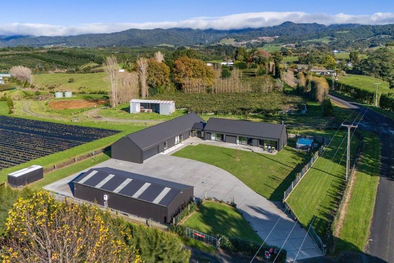 Photo of property in 169 Busby Road, Tahawai, Katikati, 3170