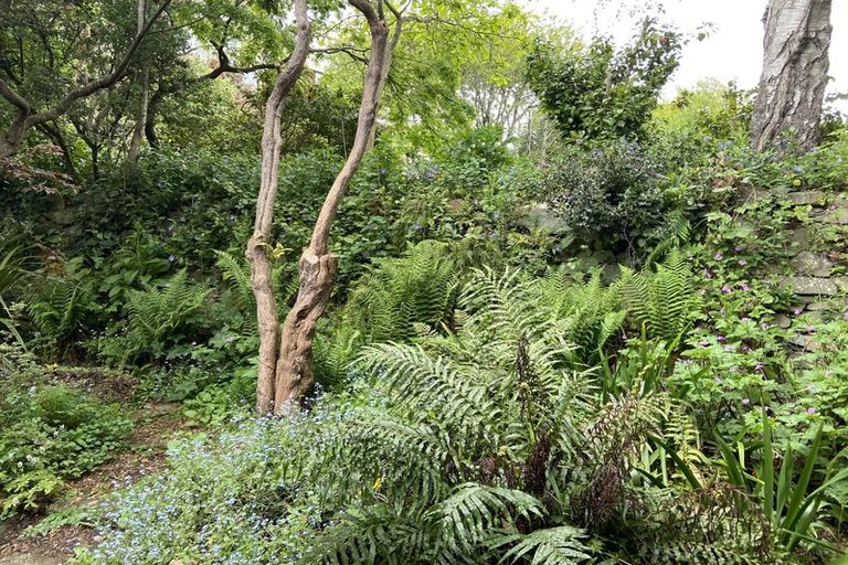 Photo of property in 15 Holywood Terrace, Gladstone, Invercargill, 9810